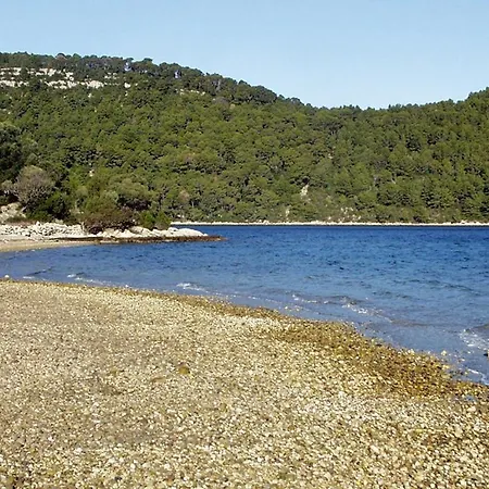 Appartement By The Sea Polace, Mljet - 16296 Goveđari